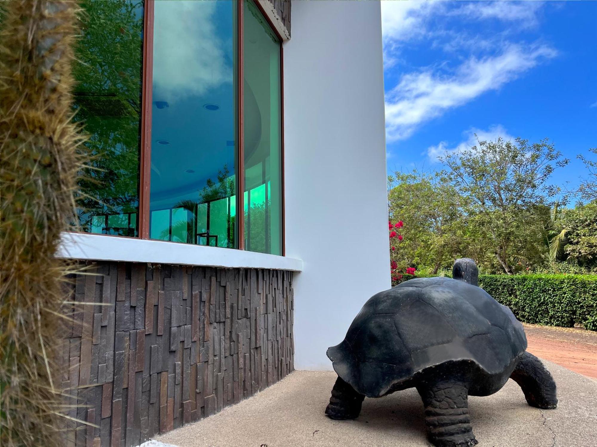 Hotel Tortuga Bay - Galapagos Puerto Ayora  Buitenkant foto