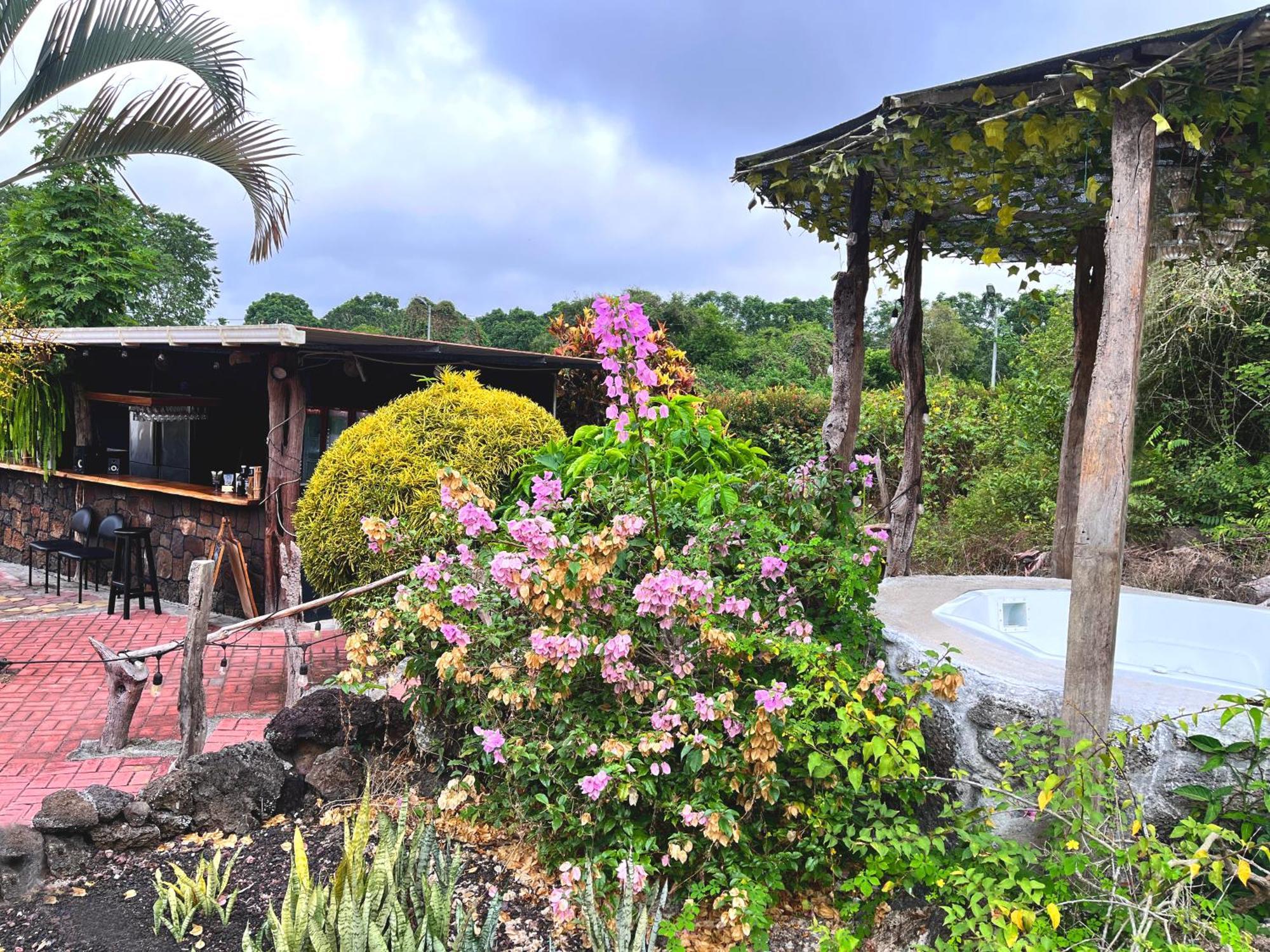 Hotel Tortuga Bay - Galapagos Puerto Ayora  Buitenkant foto